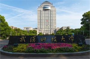 武汉科技大学城市学院是公办还是民办大学？