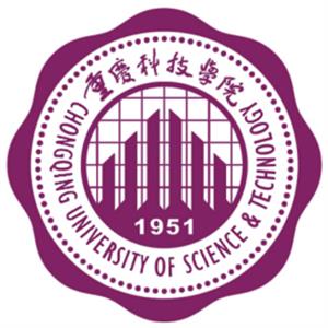 2021年重庆科技学院选科要求对照表(在湖南招生专业)