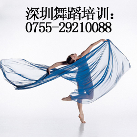 深圳舞蹈培训