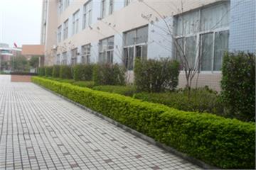深圳市龙岗区坪地街道第二小学设施环境5