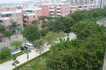 深圳市龙岗区坪地街道第二小学设施环境3
