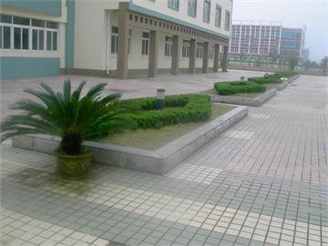 武汉经济技术开发区三角湖小学设施环境8