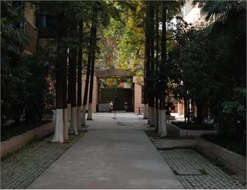 武汉市第二十六中学照片