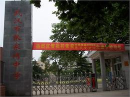 武汉市张家湾中学标志