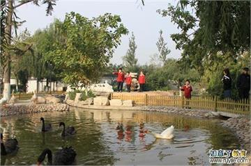 北京市海淀外国语实验学校小动物园