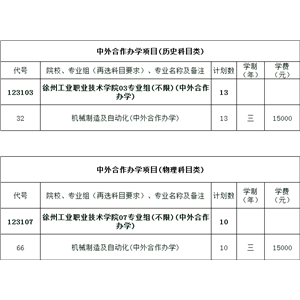 徐州工业职业技术学院2022年江苏省普高(中外合作)项目招生专业及计划
