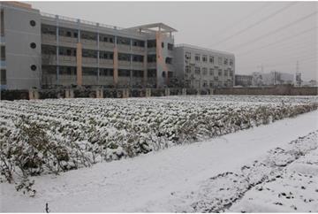 杭州市下沙第二小学(下沙二小)杭州市下沙第二小学(下沙二小)照片4
