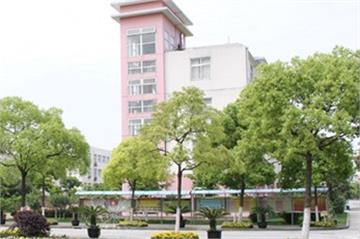 上海明星学校上海明星学校照片4