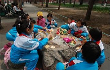 北京市双榆树第一小学(双榆树一小)北京市双榆树第一小学(双榆树一小)照片3
