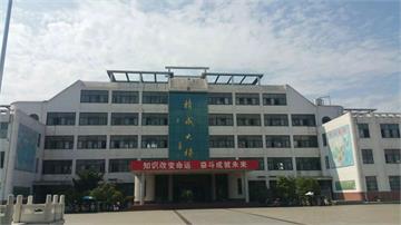 河南省内乡县第一高级中学照片